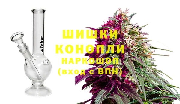 спайс Баксан