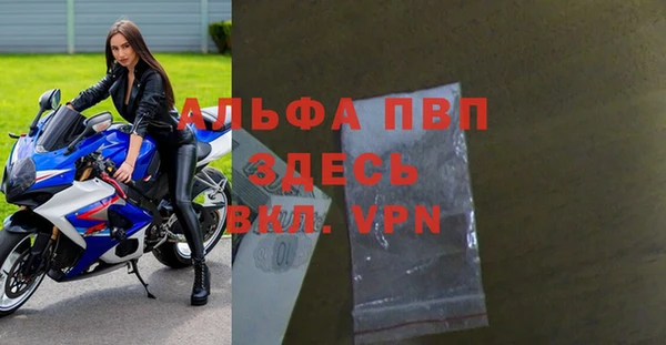 спайс Баксан